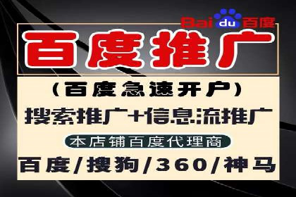 经典案例：SEM代运营服务公司的成功之路